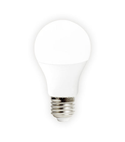 Bec Led
